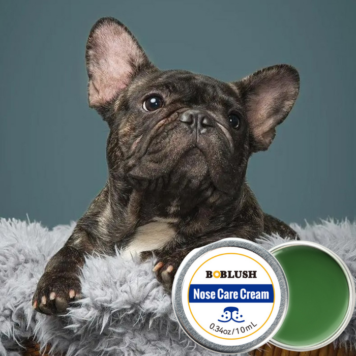 Krem pielęgnujący i ochronny do psich nosków