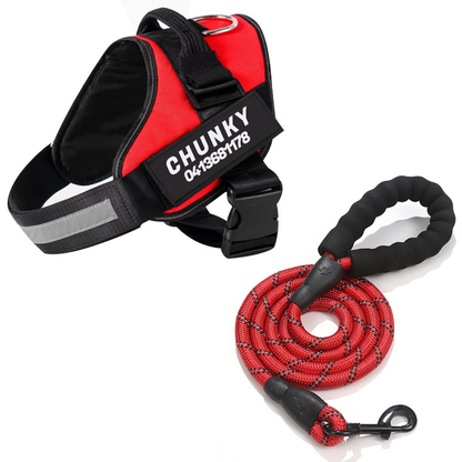 Spersonalizowana uprząż przeciw ciągnięciu dla psa