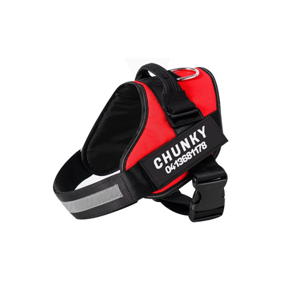 Spersonalizowana uprząż przeciw ciągnięciu dla psa