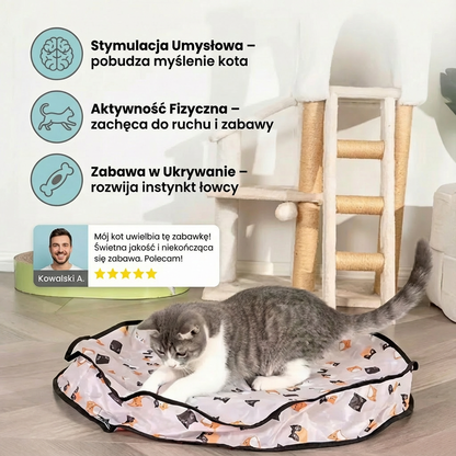 Interaktywna zabawka – kryjówka z piłką dla kota