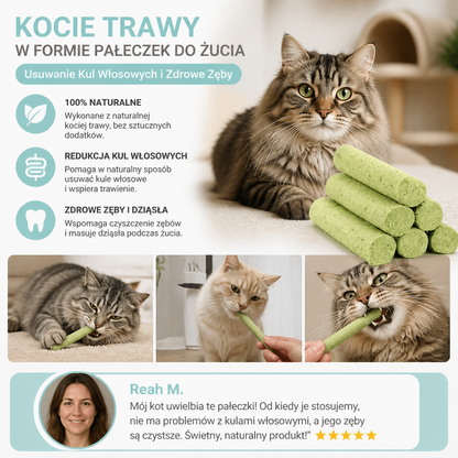Kocie Trawy w Formie Pałeczek do Żucia – Usuwanie Kul Włosowych i Zdrowe Zęby