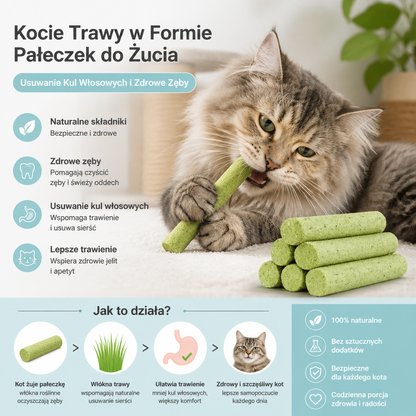 Kocie Trawy w Formie Pałeczek do Żucia – Usuwanie Kul Włosowych i Zdrowe Zęby