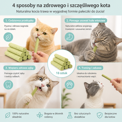 Kocie Trawy w Formie Pałeczek do Żucia – Usuwanie Kul Włosowych i Zdrowe Zęby