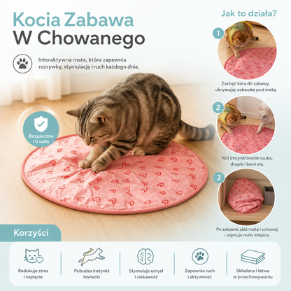 Kocia Zabawa W Chowanego