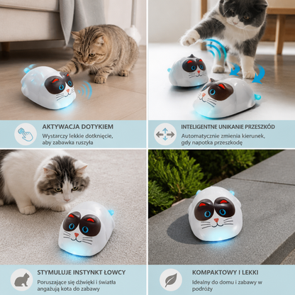 Interaktywny Inteligentny Robot Dla Kota Sterowany Dotykiem