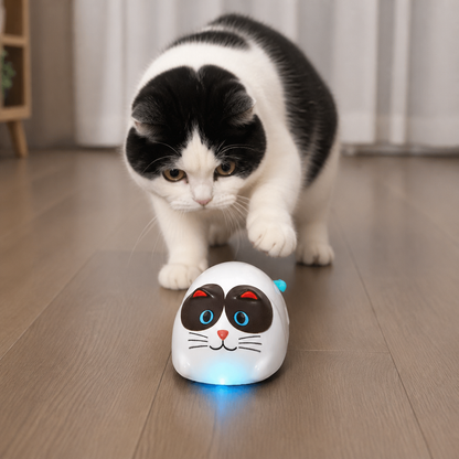 Interaktywny Inteligentny Robot Dla Kota Sterowany Dotykiem