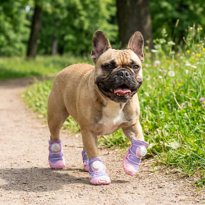 Ochronne Buty Dla Psa Z Regulowanymi Paskami Na Komfortowe Spacery Na Świeżym Powietrzu