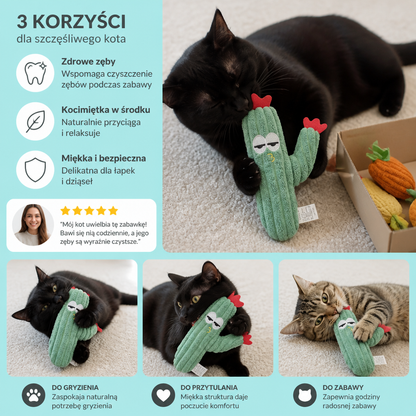 Zabawka Kaktusowa Dla Kota Z Kocimiętką Do Pielęgnacji Zębów