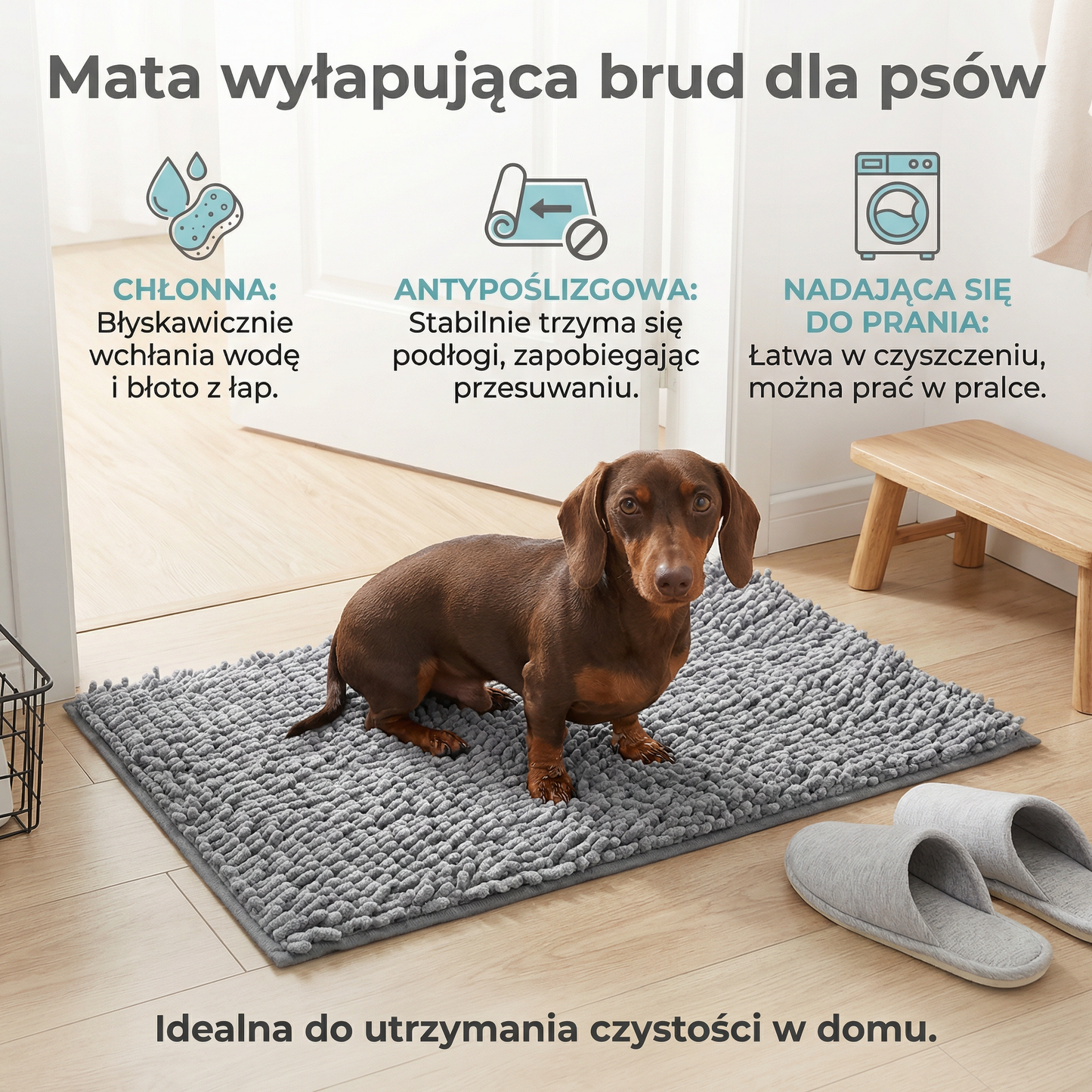 Mata wyłapująca brud dla psów – chłonna, antypoślizgowa i nadająca się do prania