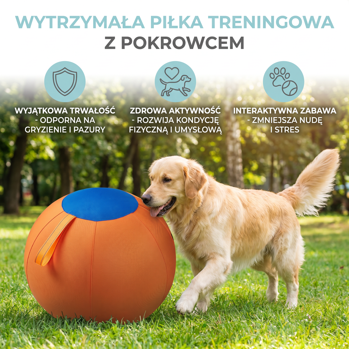 Wytrzymała Piłka Treningowa z Pokrowcem dla Psów