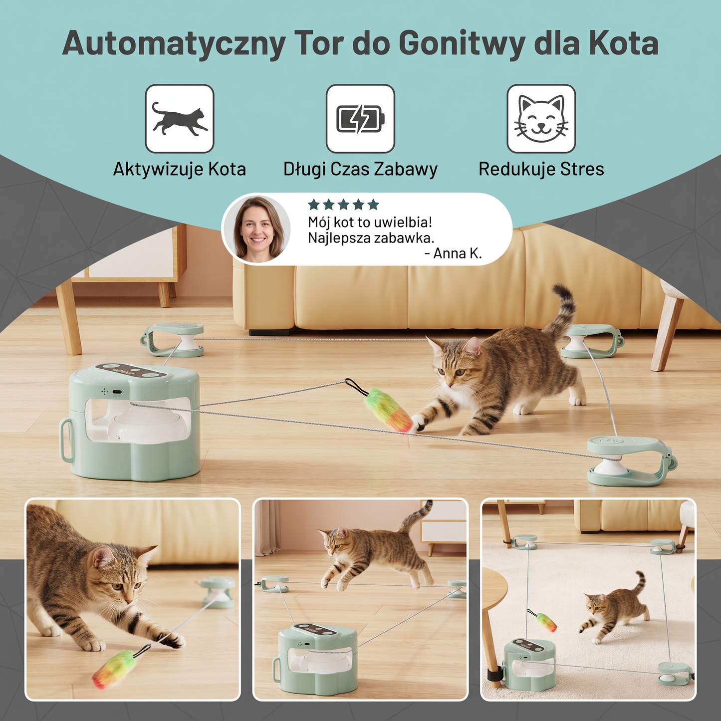 Automatyczny Tor do Gonitwy dla Kota