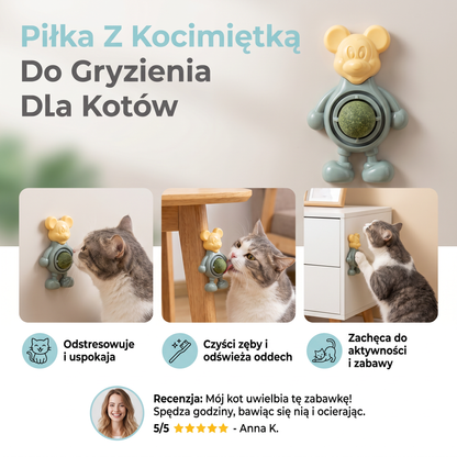 Piłka Z Kocimiętką Do Gryzienia Dla Kotów