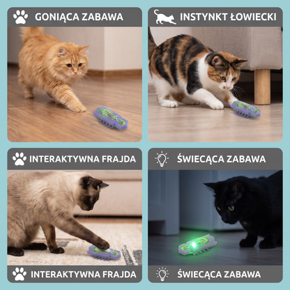 Interaktywna Elektryczna Zabawka dla Kota w Kształcie Chrząszcza z Oświetleniem LED i Automatycznym Ruchem