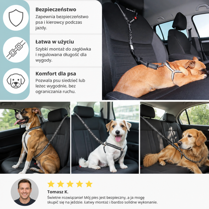 Pas bezpieczeństwa dla psa do samochodu