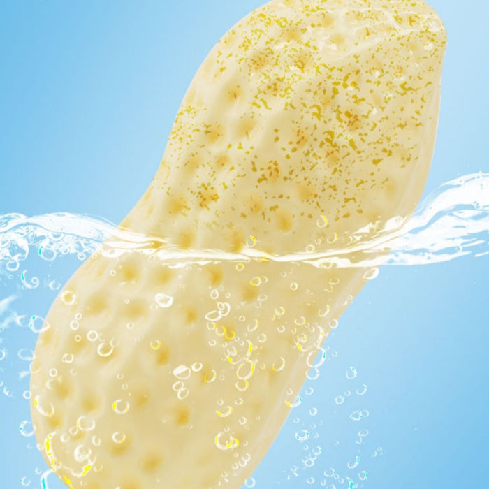 Trwała zabawka do żucia w kształcie orzeszka dla psów