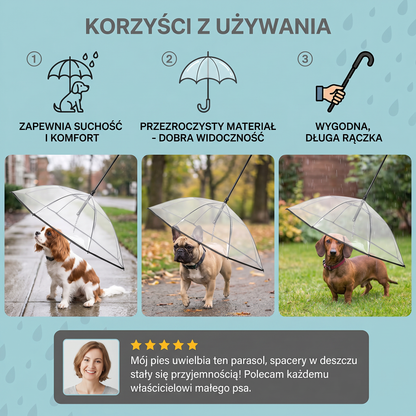 Przezroczysty parasol dla psa z smyczą dla małych psów