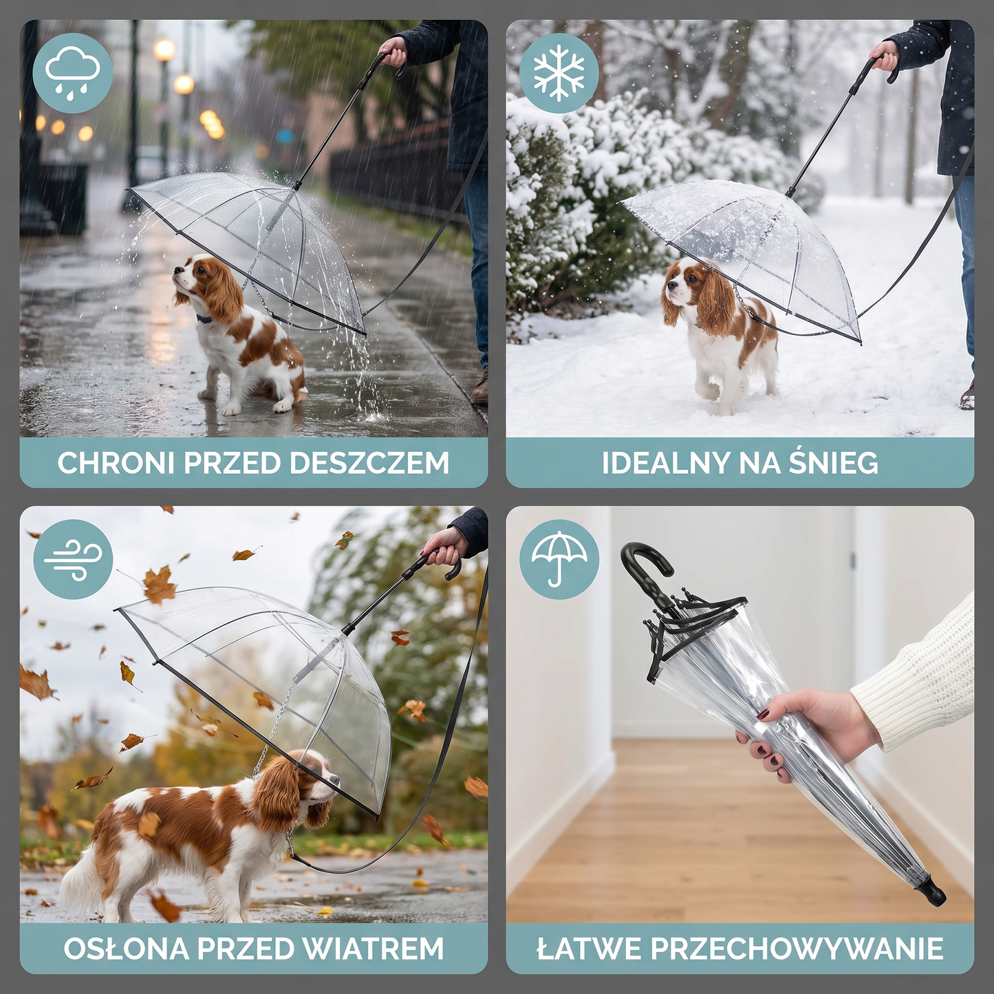 Przezroczysty parasol dla psa z smyczą dla małych psów