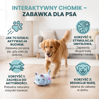 Interaktywny chomik – zabawka dla psa do użytku w domu