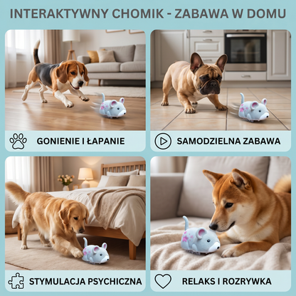 Interaktywny chomik – zabawka dla psa do użytku w domu