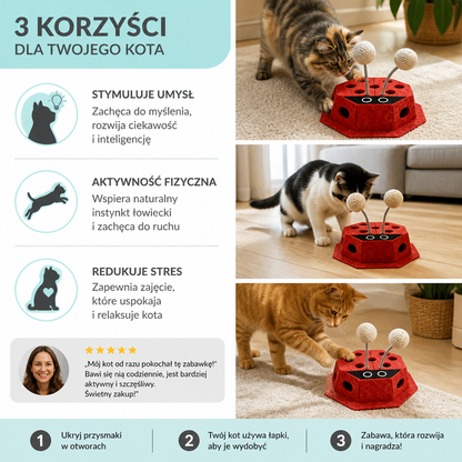 Zabawka Logiczna 3 W 1 Dla Kotów W Kształcie Biedronki