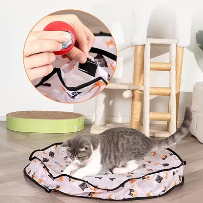 Interaktywna zabawka – kryjówka z piłką dla kota