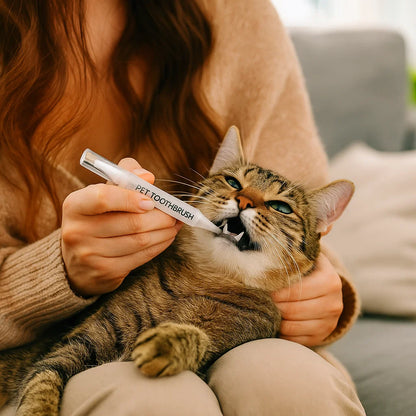 Stomatologiczny pisak do zębów dla kotów