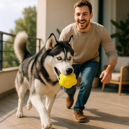 Wytrzymała piłka do skakania dla psów – na redukcję stresu