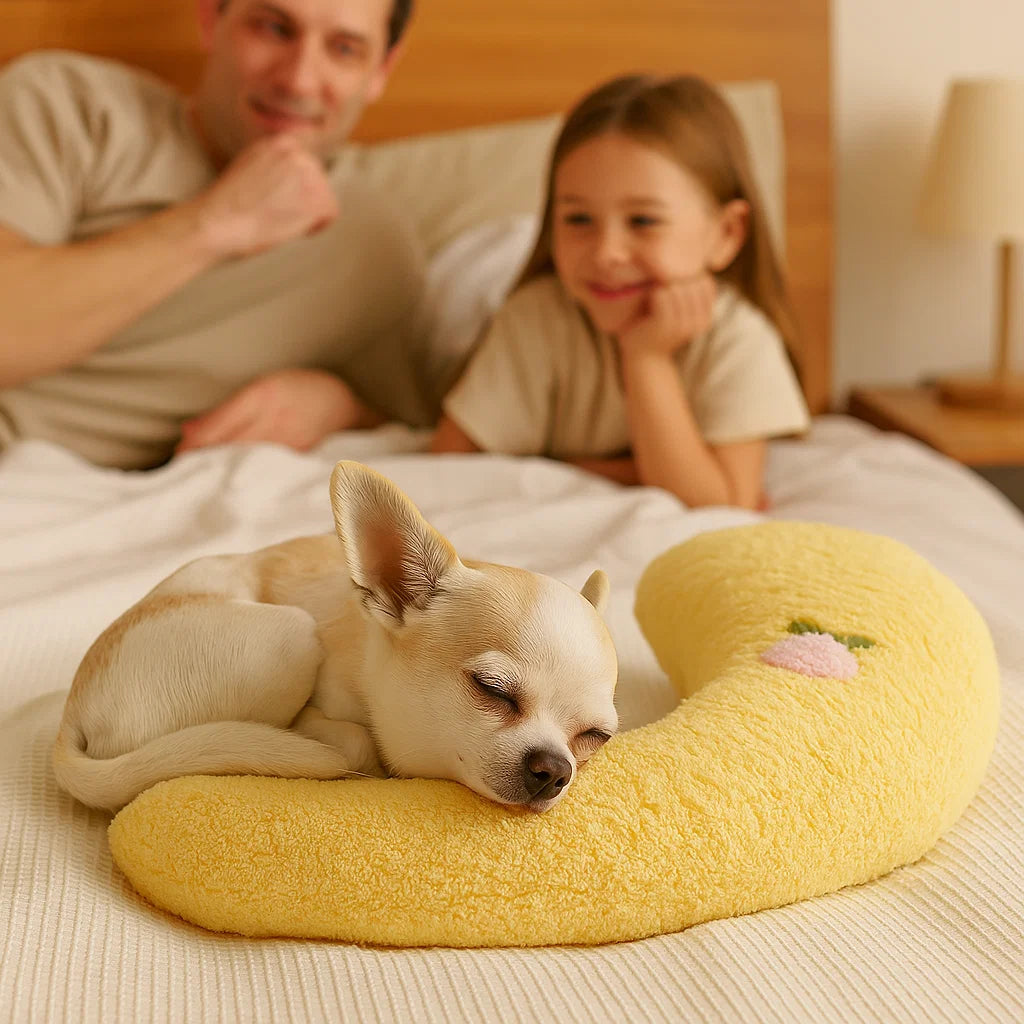 Ergonomiczna poduszka dla psa dla zdrowej postawy