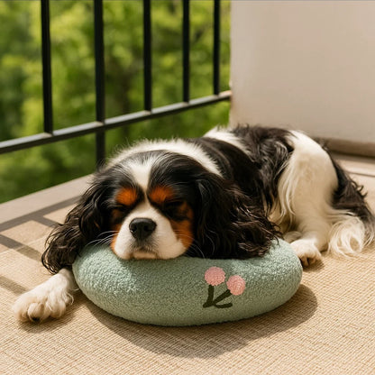 Ergonomiczna poduszka dla psa dla zdrowej postawy