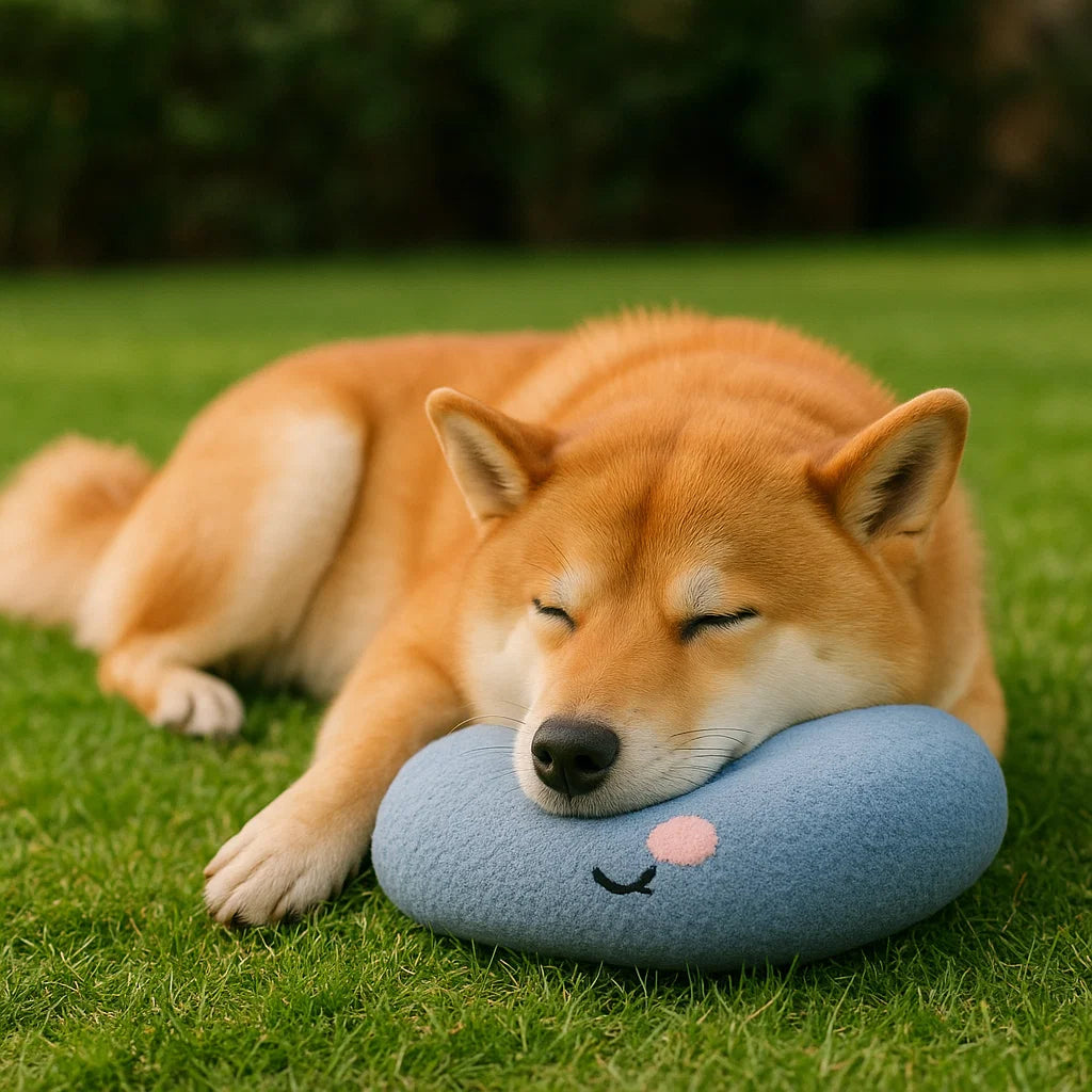 Ergonomiczna poduszka dla psa dla zdrowej postawy