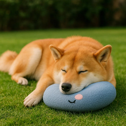 Ergonomiczna poduszka dla psa dla zdrowej postawy