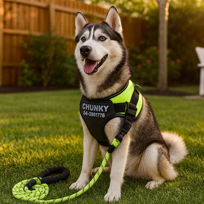 Spersonalizowana uprząż przeciw ciągnięciu dla psa