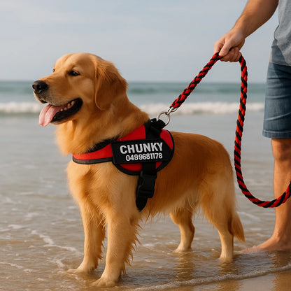 Spersonalizowana uprząż przeciw ciągnięciu dla psa