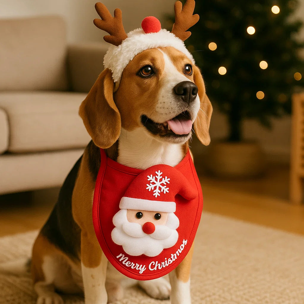 Świąteczne stroje dla psów