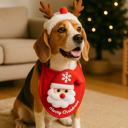 Świąteczne stroje dla psów