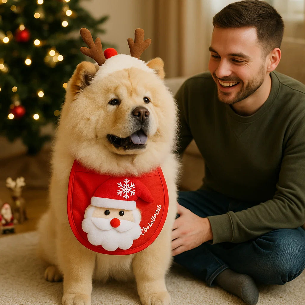 Świąteczne stroje dla psów