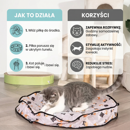 Interaktywna zabawka – kryjówka z piłką dla kota