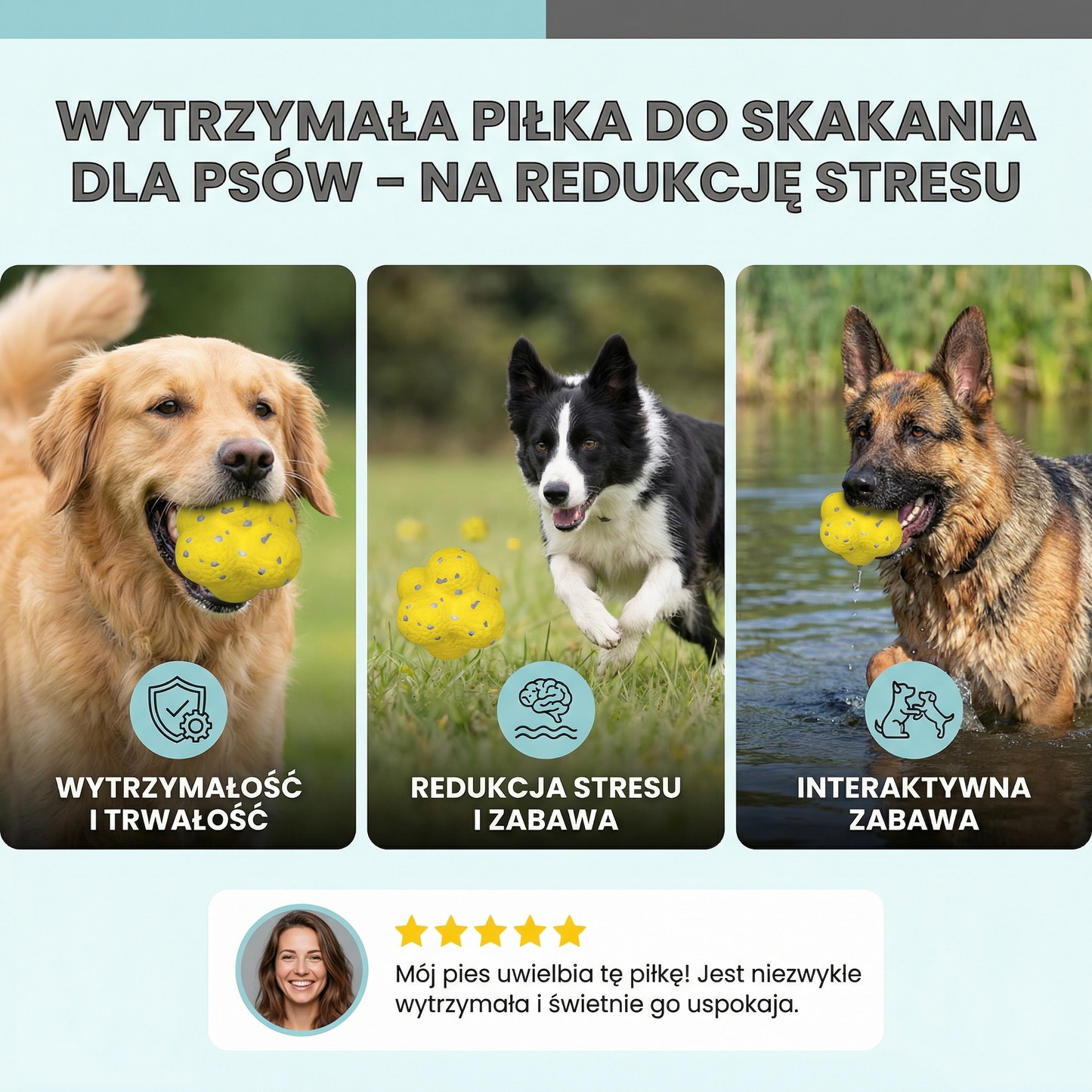 Wytrzymała piłka do skakania dla psów – na redukcję stresu