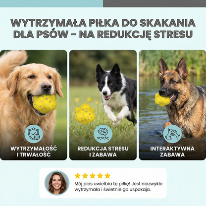 Wytrzymała piłka do skakania dla psów – na redukcję stresu