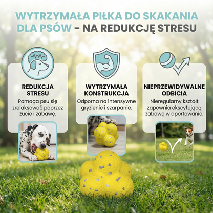Wytrzymała piłka do skakania dla psów – na redukcję stresu