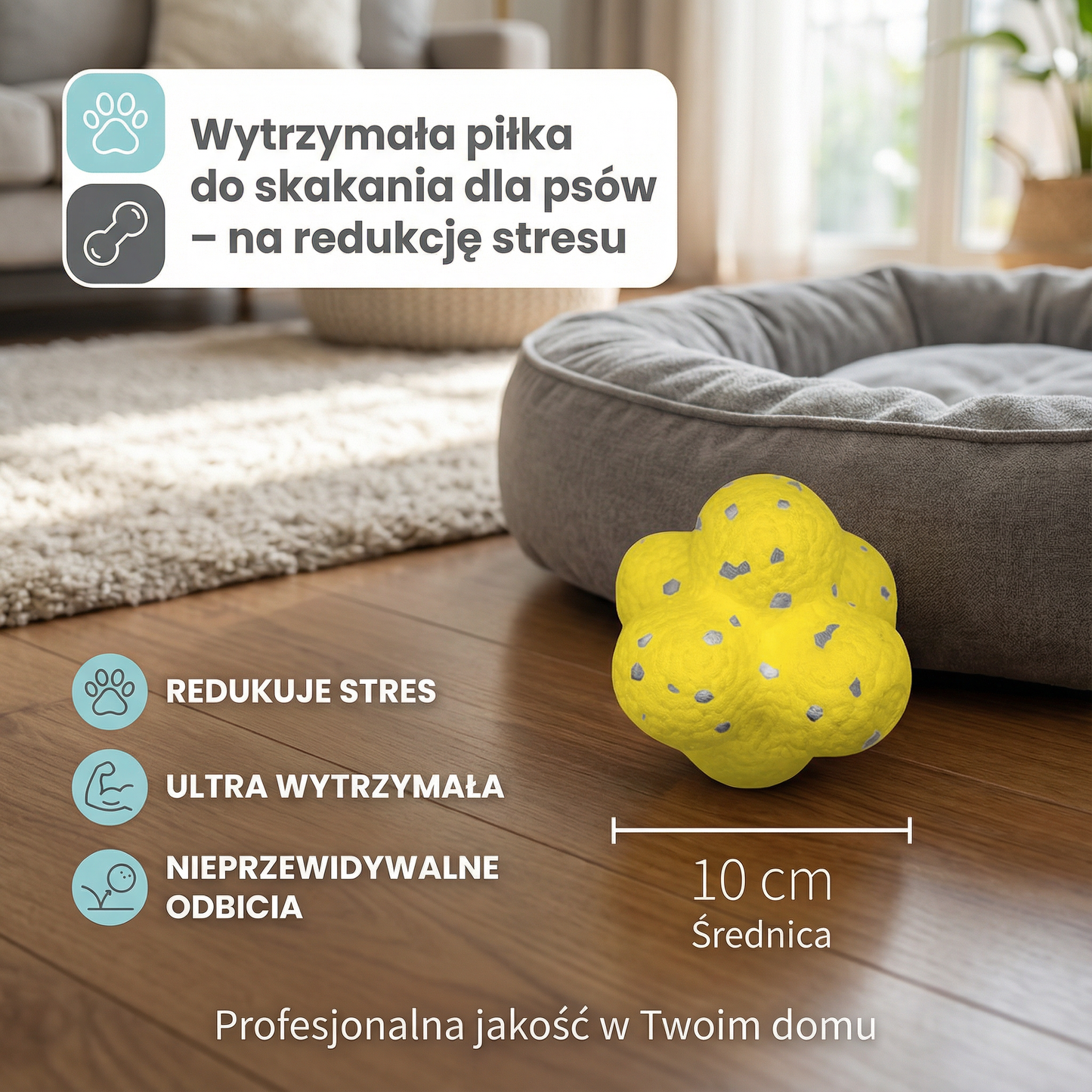 Wytrzymała piłka do skakania dla psów – na redukcję stresu