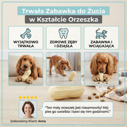 Trwała zabawka do żucia w kształcie orzeszka dla psów