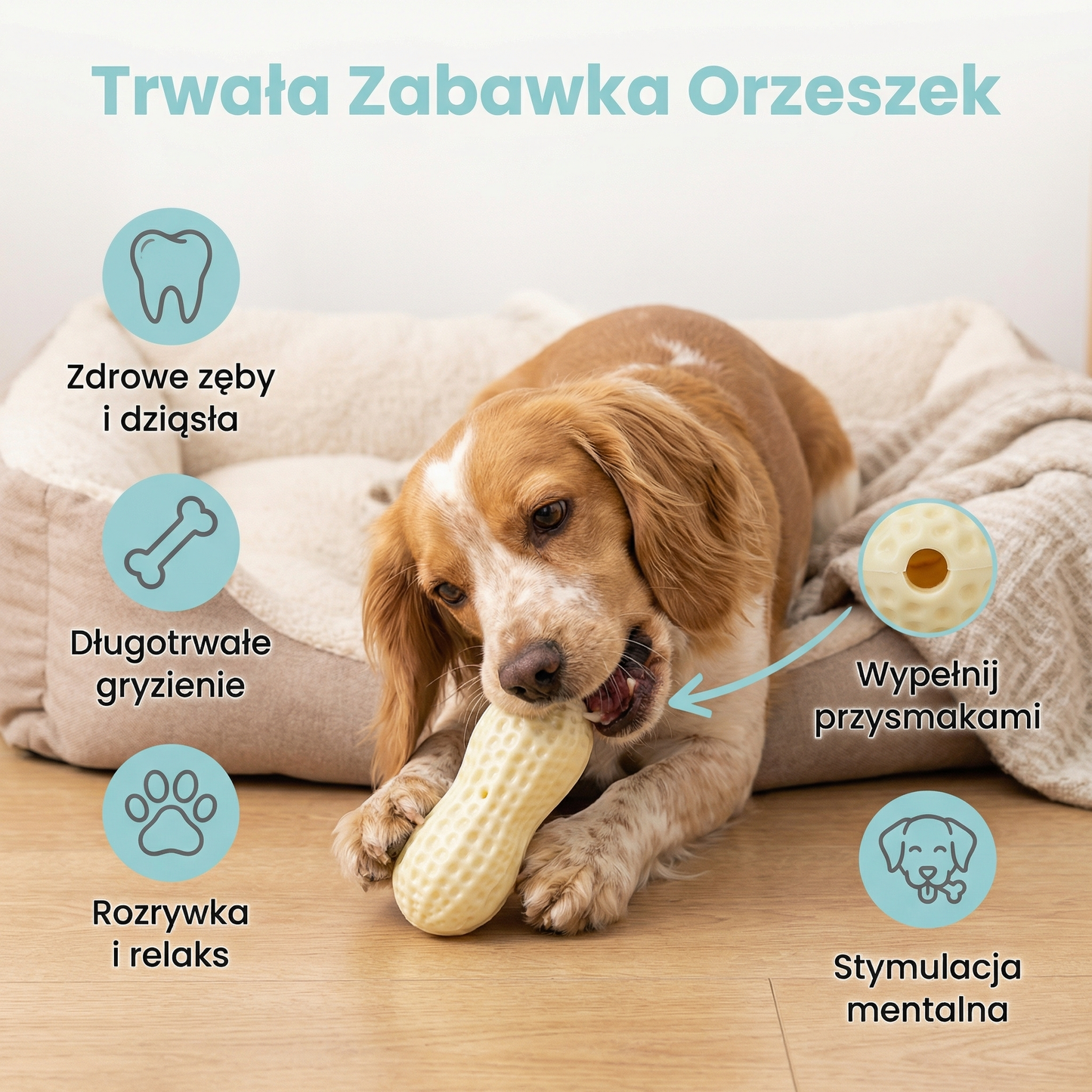 Trwała zabawka do żucia w kształcie orzeszka dla psów