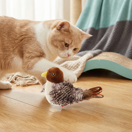 Kocia Zabawka Pluszowy Ptak ⎜ Dźwiękowa Interaktywna Zabawa