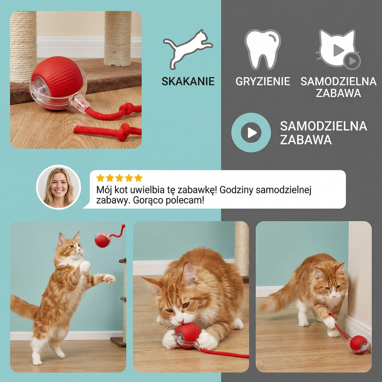 Kocia Zabawka Piłka z Sznurkiem ⎜ Skakanie i Gryzienie dla Samodzielnej Zabawy