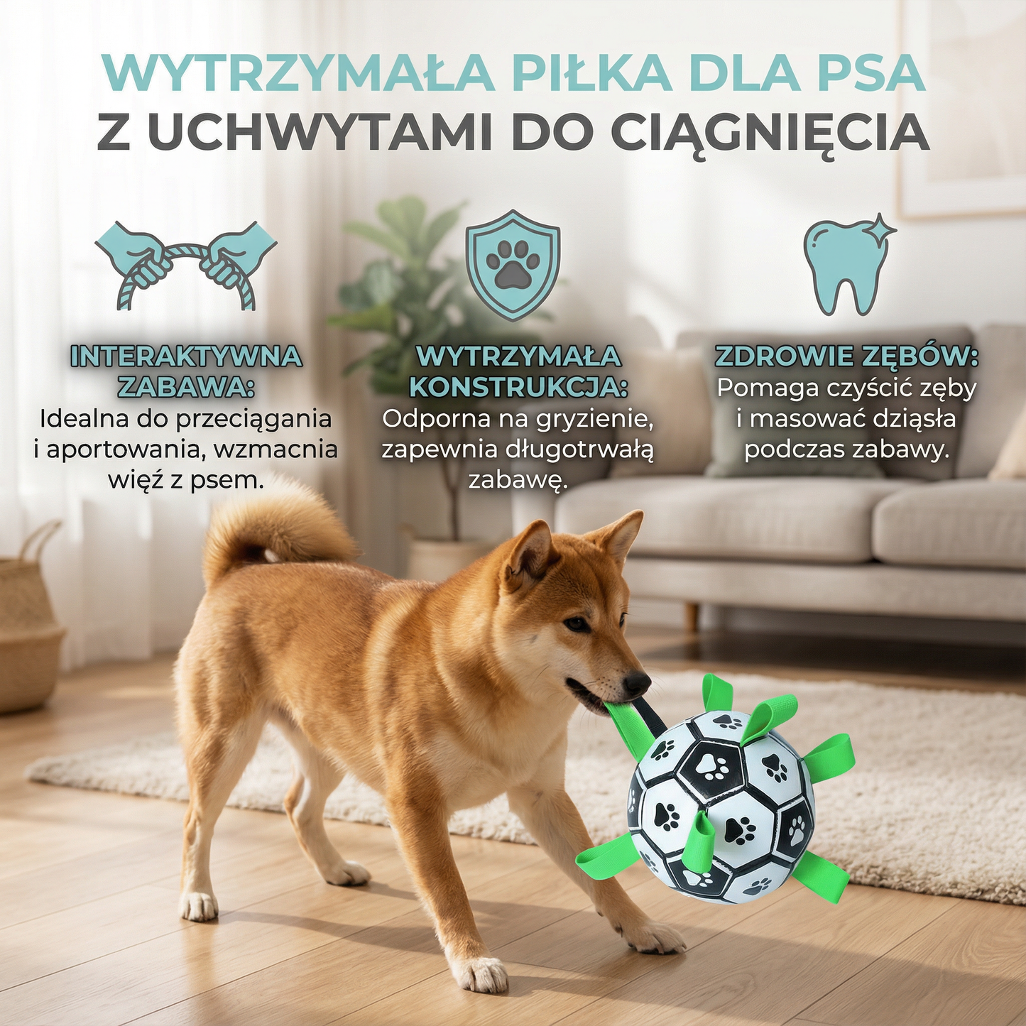 Wytrzymała piłka dla psa z uchwytami do ciągnięcia