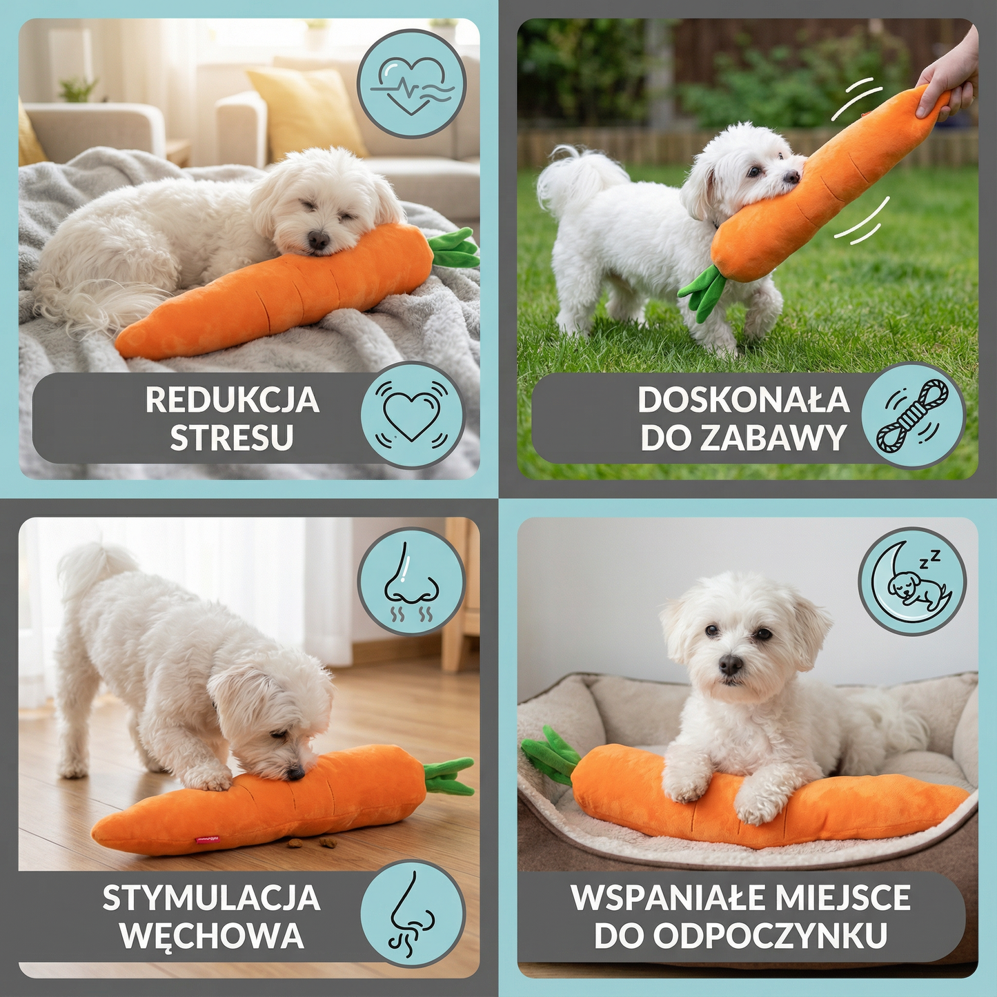 Pisząca marchewka – zabawka dla psa do zabawy i redukcji stresu