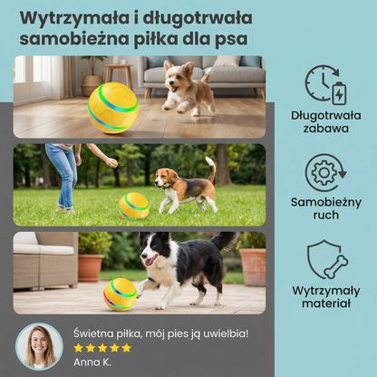 Wytrzymała i długotrwała samobieżna piłka dla psa