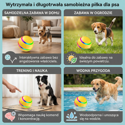 Wytrzymała i długotrwała samobieżna piłka dla psa