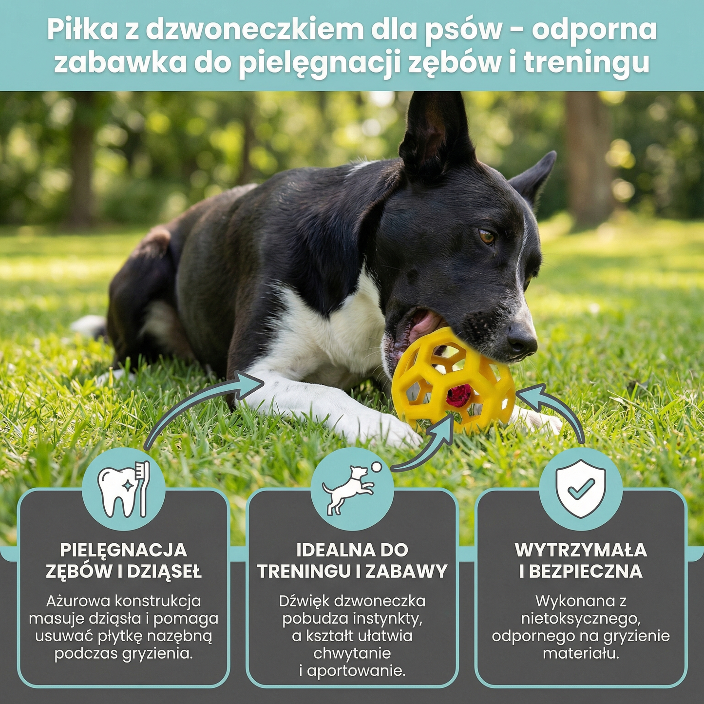 Piłka z dzwoneczkiem dla psów – odporna zabawka do pielęgnacji zębów i treningu
